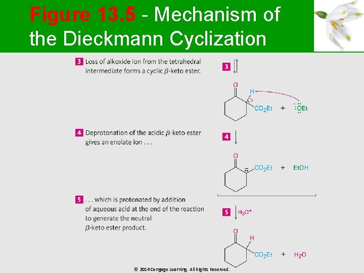 Figure 13. 5 - Mechanism of the Dieckmann Cyclization © 2016 Cengage Learning. All