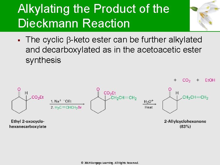Alkylating the Product of the Dieckmann Reaction § The cyclic -keto ester can be
