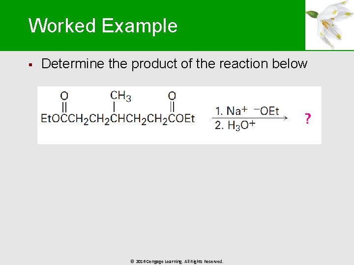 Worked Example § Determine the product of the reaction below © 2016 Cengage Learning.
