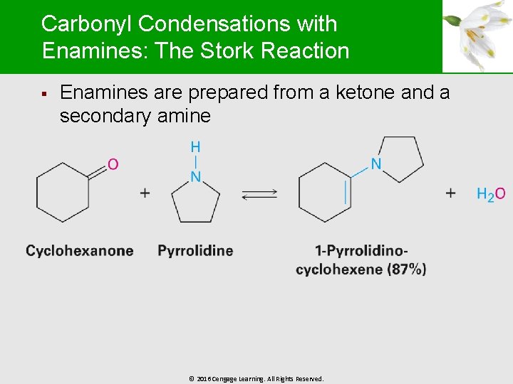 Carbonyl Condensations with Enamines: The Stork Reaction § Enamines are prepared from a ketone