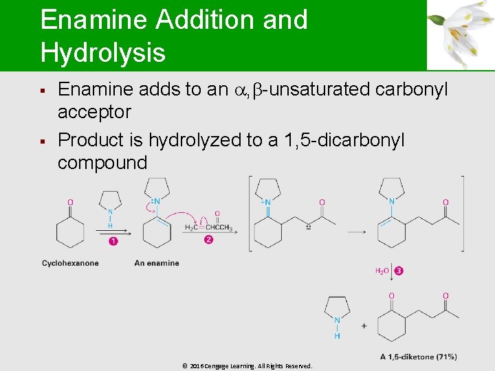 Enamine Addition and Hydrolysis § § Enamine adds to an , -unsaturated carbonyl acceptor