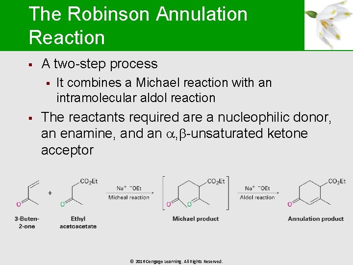 The Robinson Annulation Reaction § A two-step process § § It combines a Michael