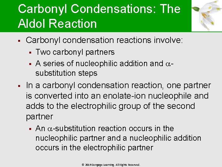 Carbonyl Condensations: The Aldol Reaction § Carbonyl condensation reactions involve: § § § Two