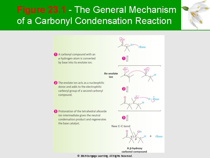 Figure 23. 1 - The General Mechanism of a Carbonyl Condensation Reaction © 2016