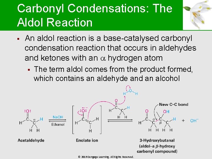 Carbonyl Condensations: The Aldol Reaction § An aldol reaction is a base-catalysed carbonyl condensation