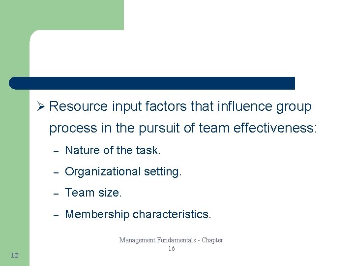 Ø Resource input factors that influence group process in the pursuit of team effectiveness: