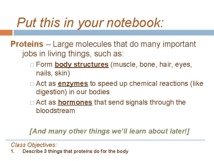 Put this in your notebook: Proteins – Large molecules that do many important jobs