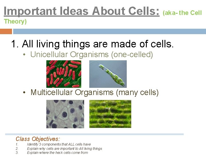 Important Ideas About Cells: (aka- the Cell Theory) 1. All living things are made