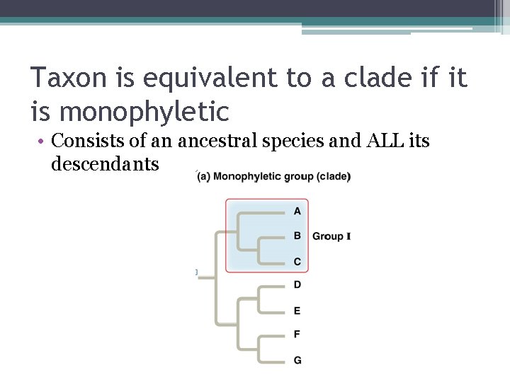 Taxon is equivalent to a clade if it is monophyletic • Consists of an