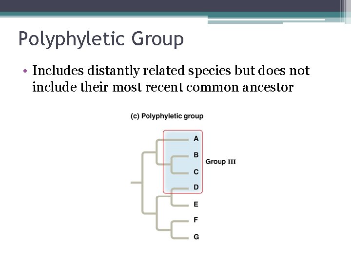 Polyphyletic Group • Includes distantly related species but does not include their most recent