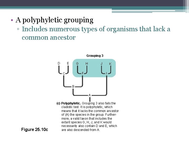  • A polyphyletic grouping ▫ Includes numerous types of organisms that lack a