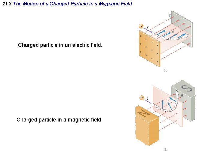 21. 3 The Motion of a Charged Particle in a Magnetic Field Charged particle