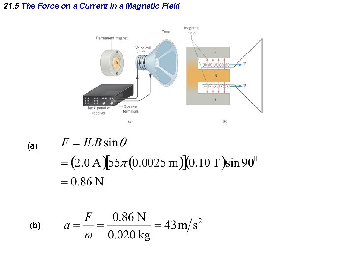 21. 5 The Force on a Current in a Magnetic Field (a) (b) 
