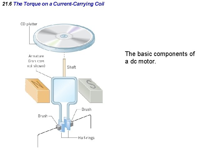 21. 6 The Torque on a Current-Carrying Coil The basic components of a dc