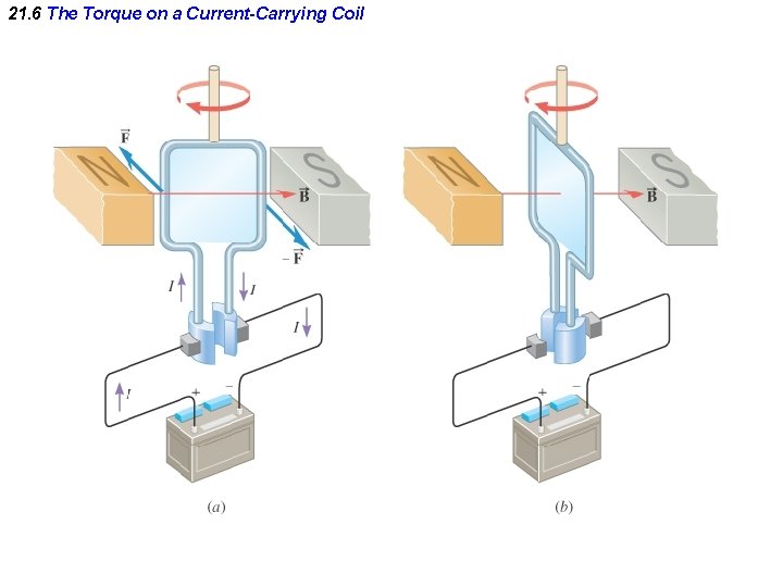 21. 6 The Torque on a Current-Carrying Coil 