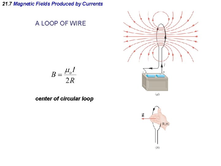 21. 7 Magnetic Fields Produced by Currents A LOOP OF WIRE center of circular