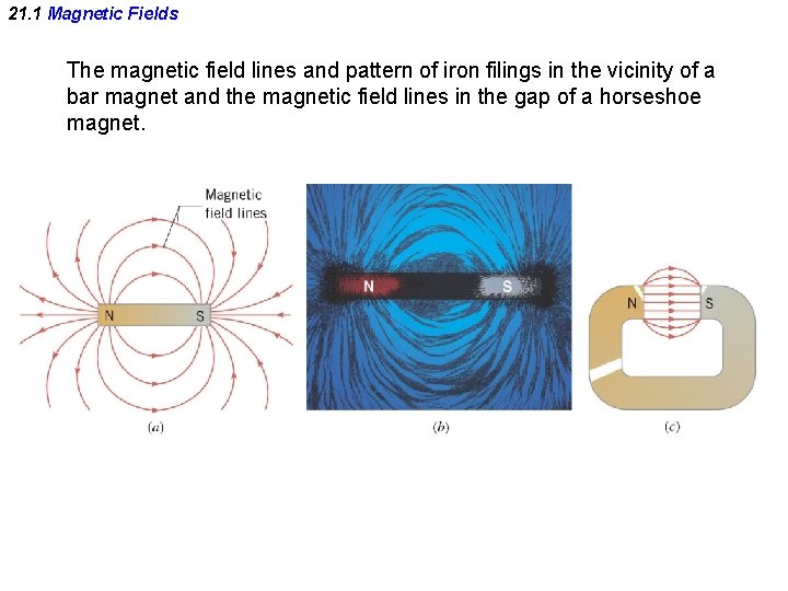 21. 1 Magnetic Fields The magnetic field lines and pattern of iron filings in