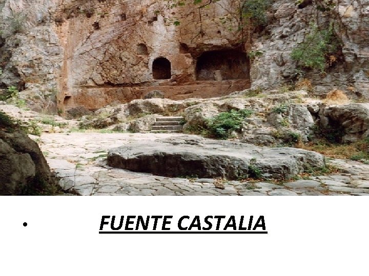  • FUENTE CASTALIA 