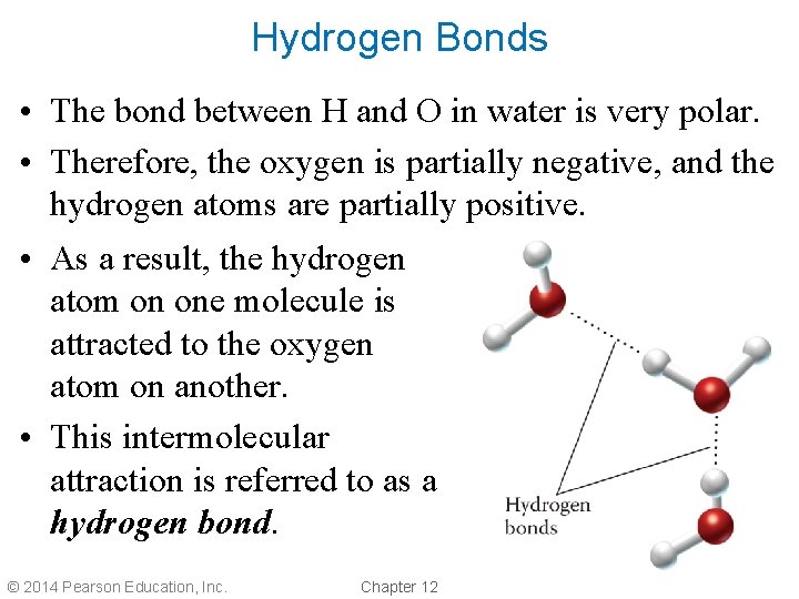 Hydrogen Bonds • The bond between H and O in water is very polar.