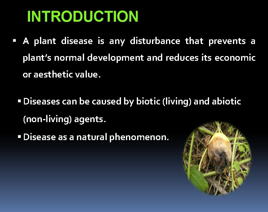 INTRODUCTION A plant disease is any disturbance that prevents a plant’s normal development and INTRODUCTION A plant disease is any disturbance that prevents a plant’s normal development and