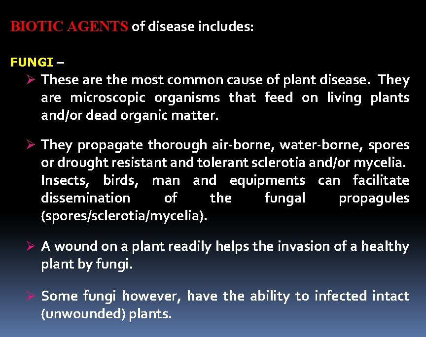 BIOTIC AGENTS of disease includes: FUNGI – Ø These are the most common cause BIOTIC AGENTS of disease includes: FUNGI – Ø These are the most common cause