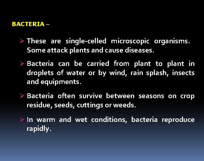 BACTERIA – Ø These are single-celled microscopic organisms. Some attack plants and cause diseases. BACTERIA – Ø These are single-celled microscopic organisms. Some attack plants and cause diseases.