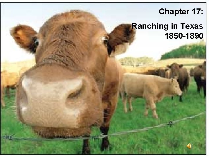 Chapter 17: Ranching in Texas 1850 -1890 