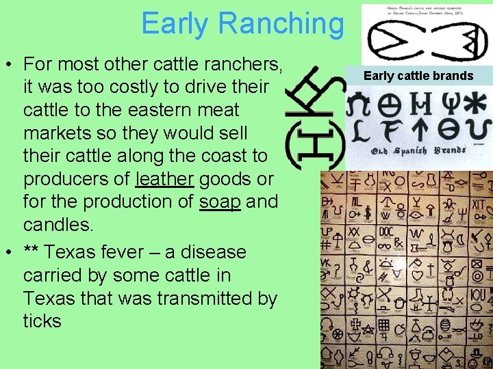 Early Ranching • For most other cattle ranchers, it was too costly to drive