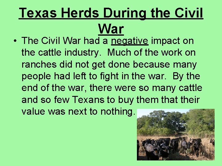 Texas Herds During the Civil War • The Civil War had a negative impact