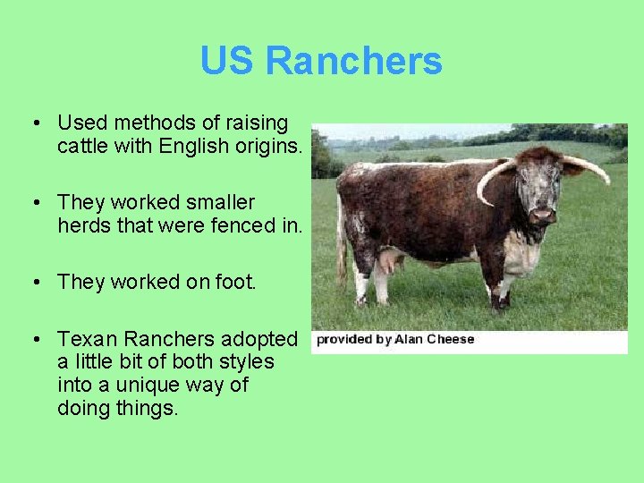 US Ranchers • Used methods of raising cattle with English origins. • They worked