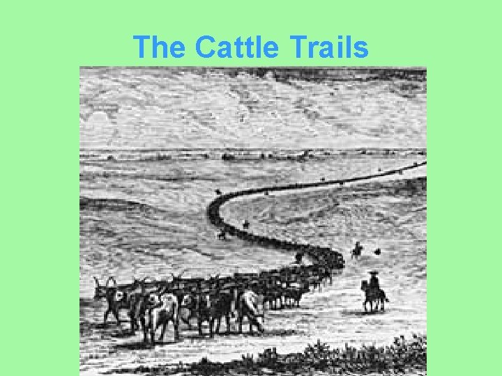 The Cattle Trails 
