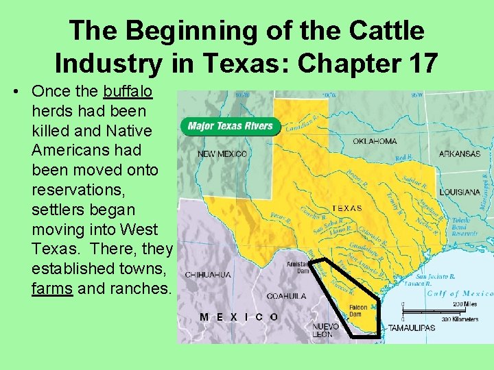 The Beginning of the Cattle Industry in Texas: Chapter 17 • Once the buffalo