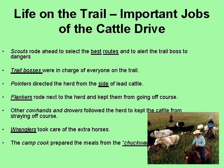 Life on the Trail – Important Jobs of the Cattle Drive • • •