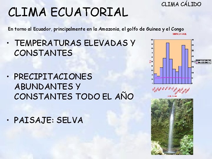 CLIMA ECUATORIAL CLIMA CÁLIDO En torno al Ecuador, principalmente en la Amazonia, el golfo CLIMA ECUATORIAL CLIMA CÁLIDO En torno al Ecuador, principalmente en la Amazonia, el golfo
