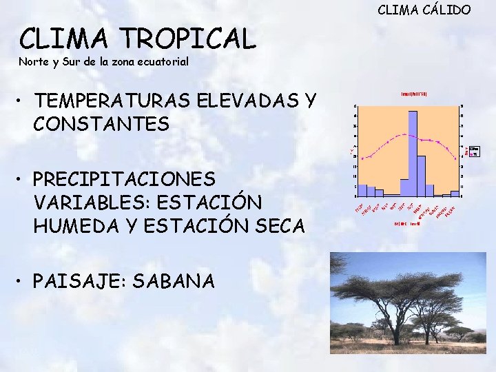 CLIMA TROPICAL Norte y Sur de la zona ecuatorial • TEMPERATURAS ELEVADAS Y CONSTANTES CLIMA TROPICAL Norte y Sur de la zona ecuatorial • TEMPERATURAS ELEVADAS Y CONSTANTES