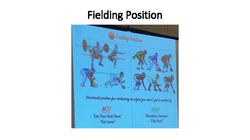 Fielding Position Fielding Position