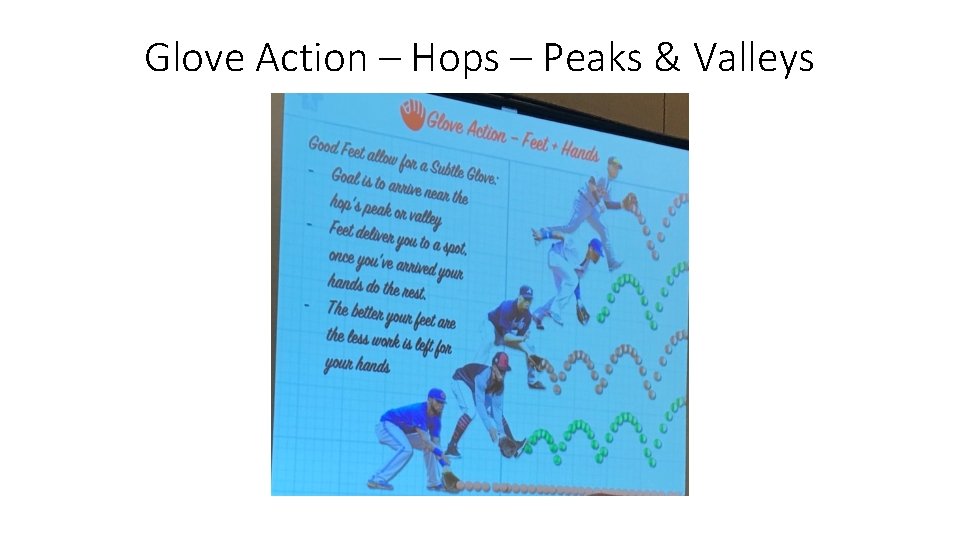 Glove Action – Hops – Peaks & Valleys Glove Action – Hops – Peaks & Valleys
