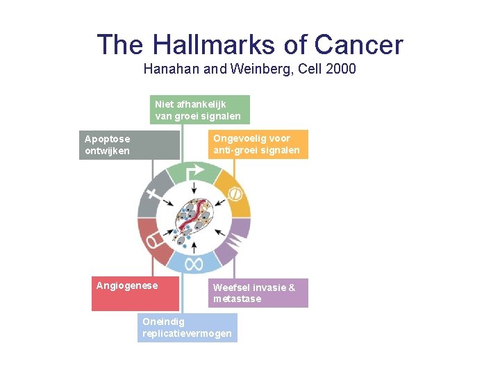 The Hallmarks of Cancer Hanahan and Weinberg, Cell 2000 Niet afhankelijk van groei signalen