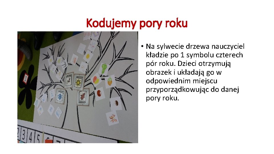 Kodujemy pory roku • Na sylwecie drzewa nauczyciel kładzie po 1 symbolu czterech pór