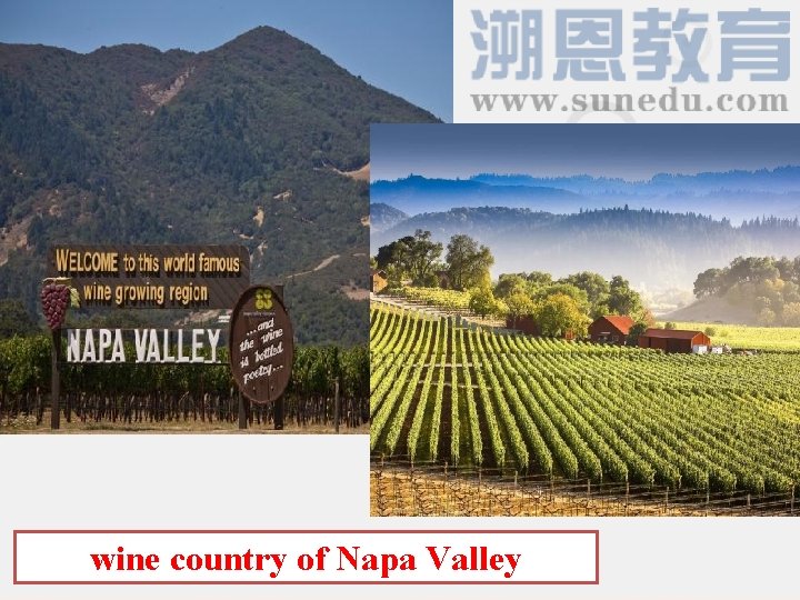 wine country of Napa Valley 