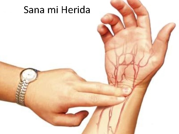 Sana mi Herida 