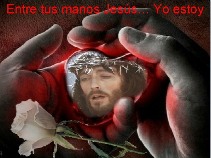 Entre tus manos Jesús… Yo estoy 