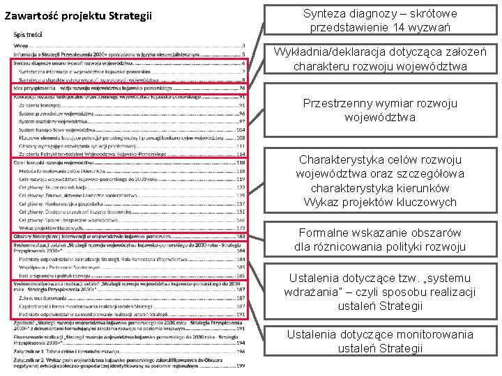 Zawartość projektu Strategii Synteza diagnozy – skrótowe przedstawienie 14 wyzwań Wykładnia/deklaracja dotycząca założeń charakteru