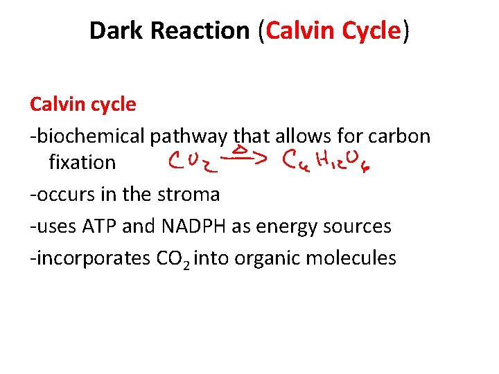Dark Reaction (Calvin Cycle) Calvin cycle -biochemical pathway that allows for carbon fixation -occurs