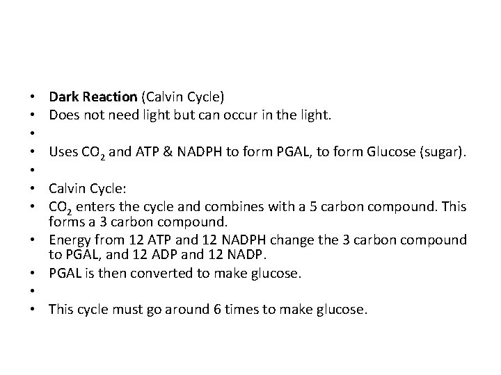  • • • Dark Reaction (Calvin Cycle) Does not need light but can