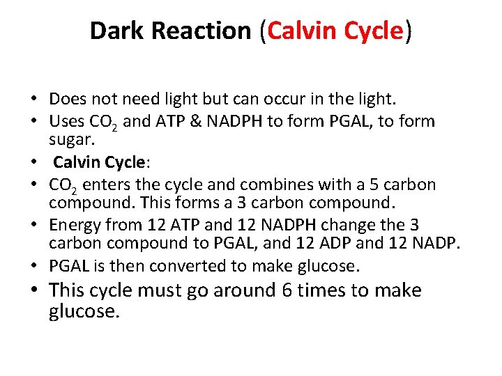 Dark Reaction (Calvin Cycle) • Does not need light but can occur in the