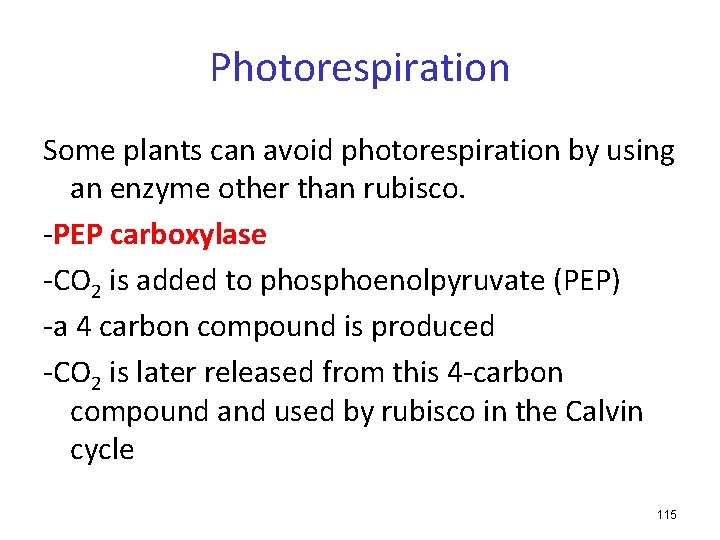 Photorespiration Some plants can avoid photorespiration by using an enzyme other than rubisco. -PEP