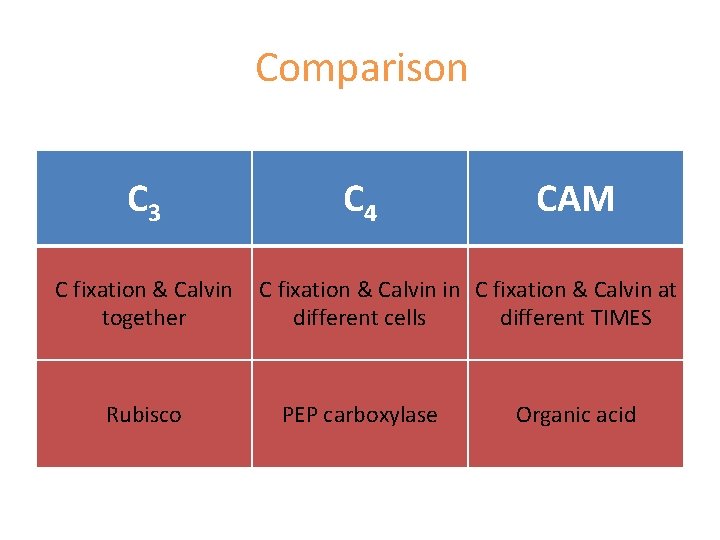 Comparison C 3 C 4 CAM C fixation & Calvin in C fixation &