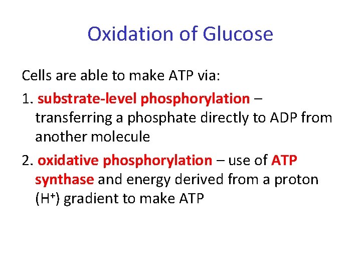 Oxidation of Glucose Cells are able to make ATP via: 1. substrate-level phosphorylation –