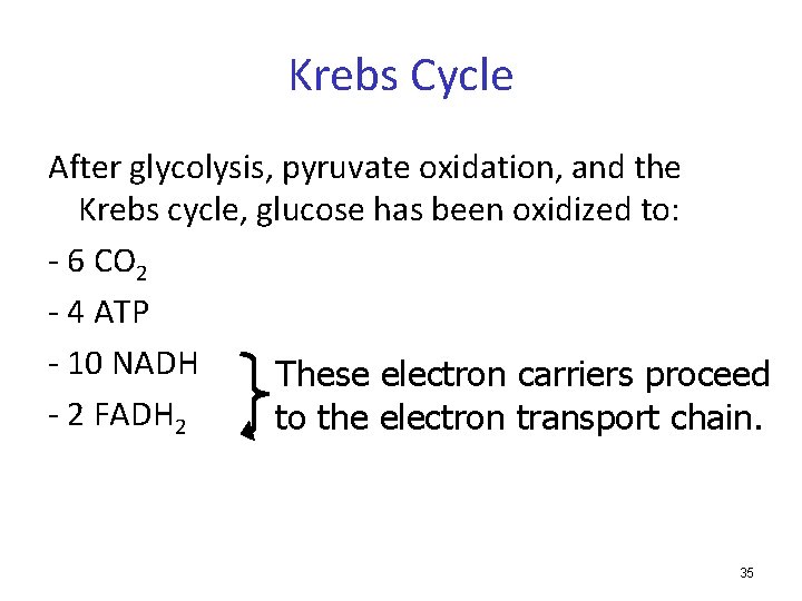 Krebs Cycle After glycolysis, pyruvate oxidation, and the Krebs cycle, glucose has been oxidized